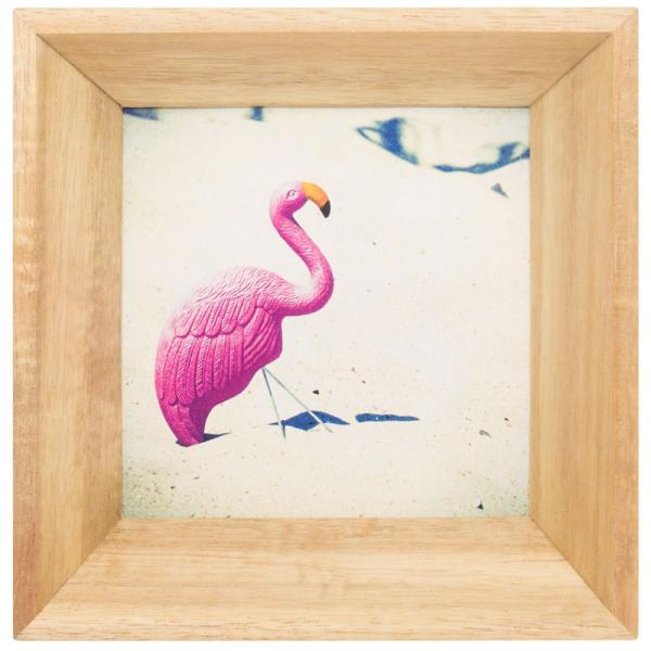 tHI AJVA tHgt[ S  Ǌ| tHgX^h ʐ^ Paladec lC ؐ NX}Xv[g NX}X