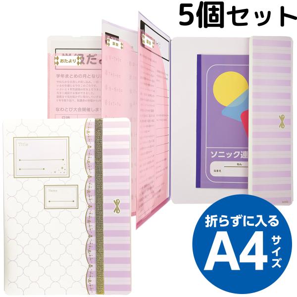 コレクションファイルセット N 5セット loupe_son-0281