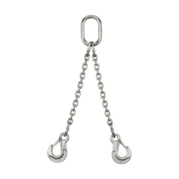 `F[XO ۈ SUS`F[XO2{݂XOtbN^Cv 0.6t [2-SAK-SHK-5] 2SAKSHK5 ̔PʁF1 