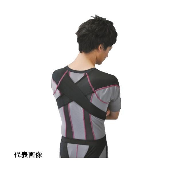 T|[^[  DAIYA ElDARWING-X LLTCY [000-9596] 0009596 ̔PʁF1 