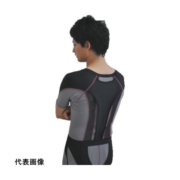 T|[^[  DAIYA ElDARWING-T MTCY [000-9643] 0009643 ̔PʁF1 