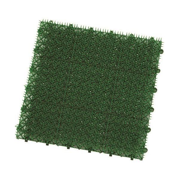 lH Rh ᑐjbgE-V O[ [4903180474776] 4903180474776  ̔PʁF1