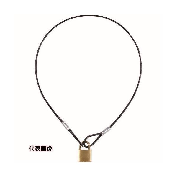 金物・建築資材 建築金物 鍵 ●高強度スチールワイヤー使用です。●対象物をキズつけにくいビニールコーティングです。●両端アイ加工のワイヤーロープと南京錠のセット品です。●門扉・宅配ボックス・自転車・ミニバイクの施錠、スーツケースやゴルフバッ...