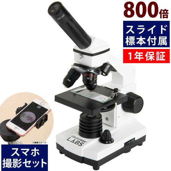顕微鏡, 子供用顕微鏡800X HD高出力顕微鏡科学実験 で(Yellow