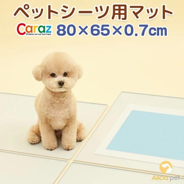 カーペット おしっこの人気商品 通販 価格比較 価格 Com