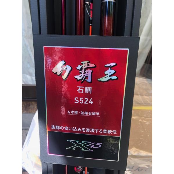ダイワ 幻覇王 石鯛 S-524 (ロッド・釣竿) 価格比較 - 価格.com ダイワ 幻覇王 石鯛 S-524 (ロッド・釣竿) 価格比較 - 価格.com