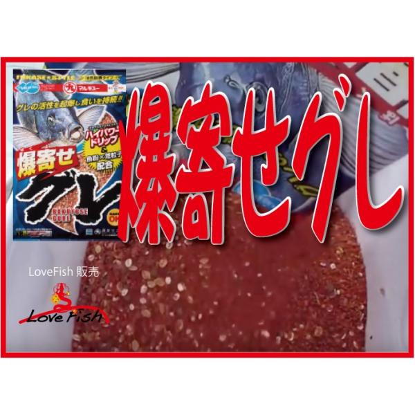 マルキュー Marukyu 爆寄セグレの価格と最安値 おすすめ通販を激安で