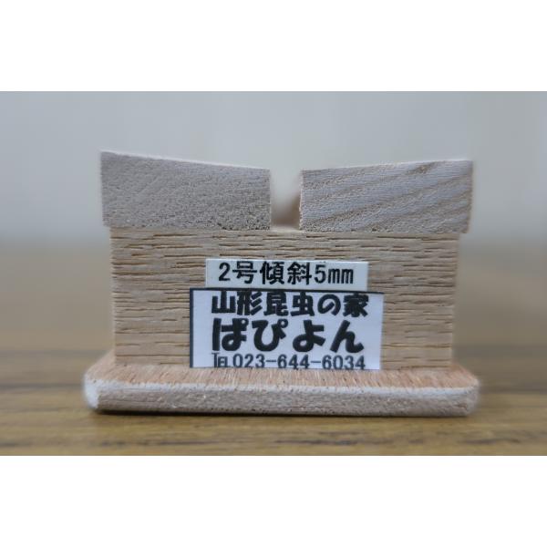 展翅がしやすいように角度をつけて設計された、プロ使用の展翅板。桐製。表展翅の場合は、傾斜板の使用が良い。２号　幅56mm　　溝幅6ｍｍ　