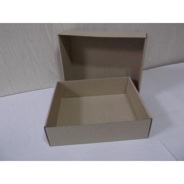 甲虫、雑昆虫などの採集品を整理して持ち帰るためのタトウをピッタリ収められる紙箱を作りました。紙製なので、軽くて丈夫。