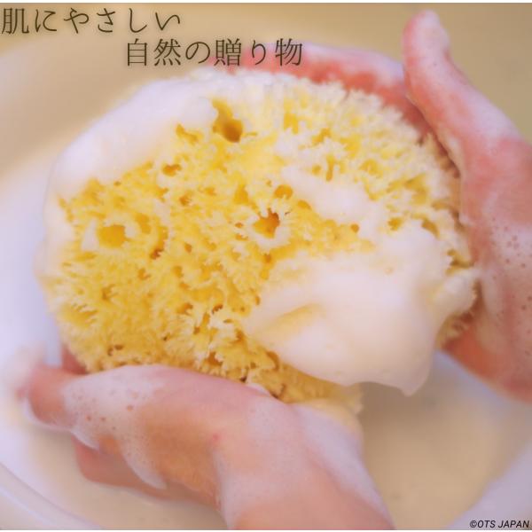 ベリーニ天然海綿スポンジ シルク種 Sサイズ Shasa No.5[シルク種]天然海綿の中でも最も表面のキメが細やかなことが特徴です。毛が密集しているその特性から、鼻周りの毛穴汚れ、顎のプツプツ、汗をかきやすく髪の毛がかかるおでこなどを洗う...