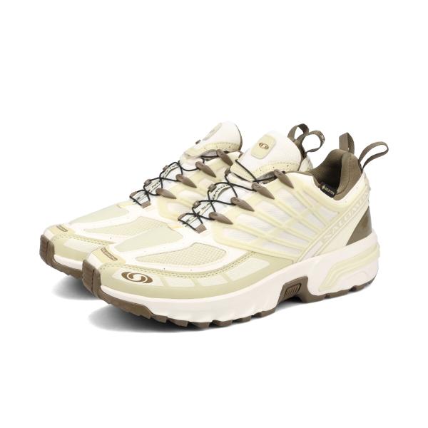 p*_様 特別価格　SALOMON ACS PRO GTX サロモン ゴアテック lowtex_l47736400