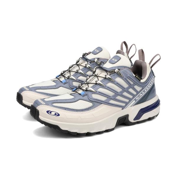 【30%OFF】 SALOMON ACS PRO GTX サロモン ACS プロ ゴアテックス メンズ LUNAR ROCK/GRISAILLE/PLUM KITTEN グレー L47866900