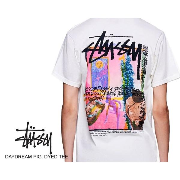 STUSSY（ステューシー） Tシャツ STUSSY DAYDREAM PIG. DYED TEE