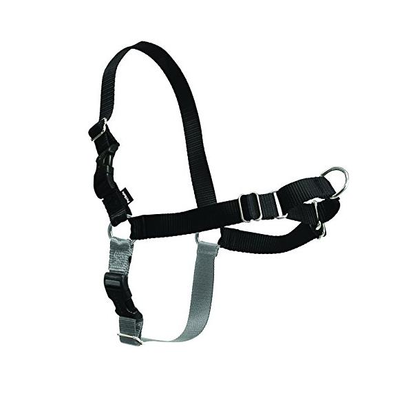 PetSafe（ペットセーフ） イージーウォークハーネス 犬用 引っ張り防止 散歩 トレーニング用ハーネスM/Lサイズ ブラック＆シルバー