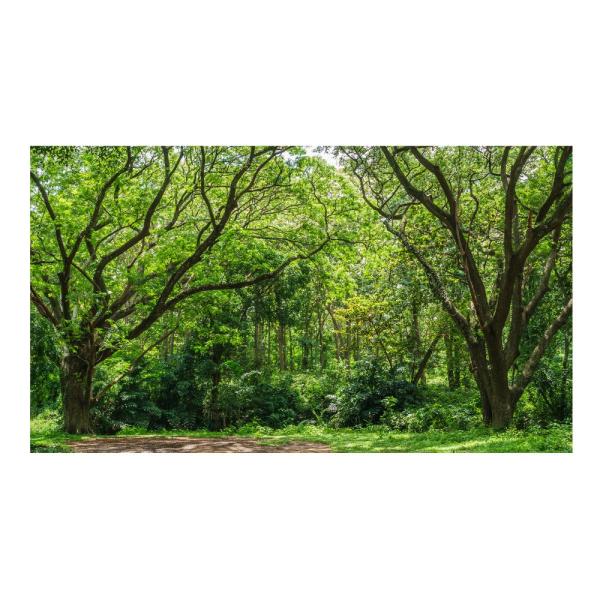 ؁X X Gؗ EH[XebJ[ { ǎ O[ A  s ʐ^ |X^[ V[ A[g