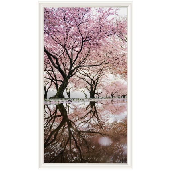    t[ EH[XebJ[ { ǎ ؁X   X sN A  |X^[ V[ A[g