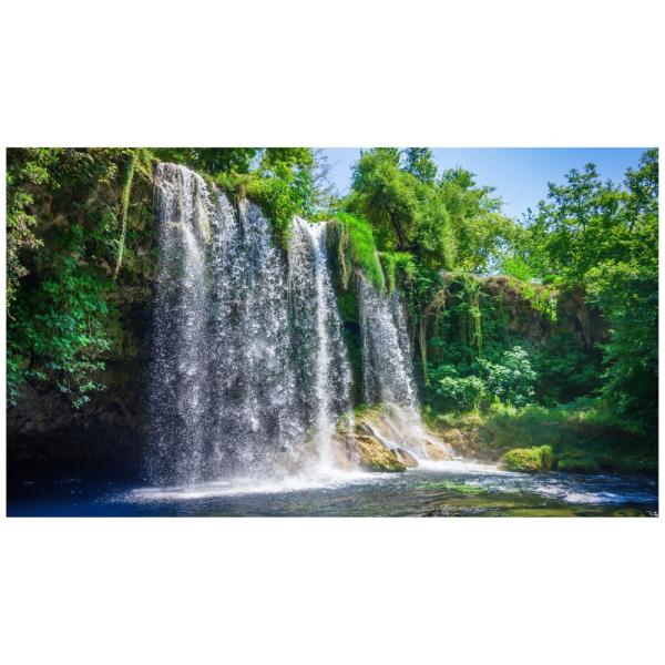  R EH[XebJ[ { ǎ X  O[ A  s ʐ^ |X^[ V[ A[g