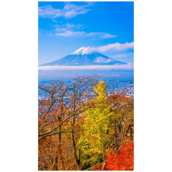 xmR gt EH[XebJ[ { ǎ ؁X X H A  s ʐ^ |X^[ V[ A[g