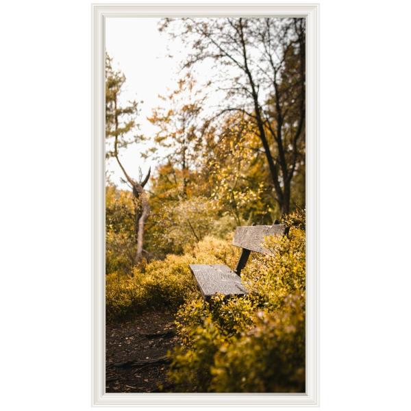 Mu3アクセント壁紙 ベンチ ウォールステッカー 日本製 紅葉 秋 景色 風景 写真 ポスター シール Acw 0021 Ktn W Lucca 通販 Yahoo ショッピング