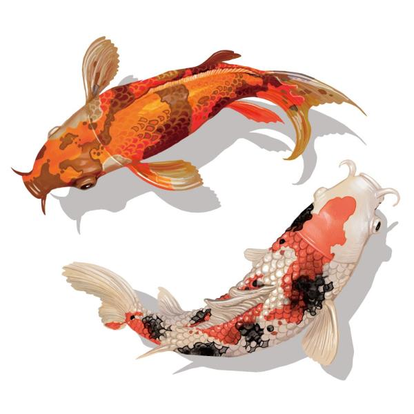 鯉 ステッカーの価格と最安値 おすすめ通販を激安で