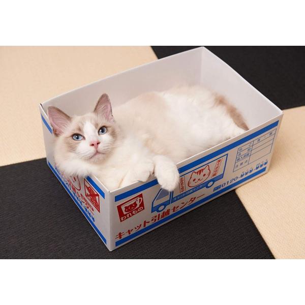 ミュー Mju にゃんボール 引越し箱 Buyee Buyee Japanese Proxy Service Buy From Japan Bot Online