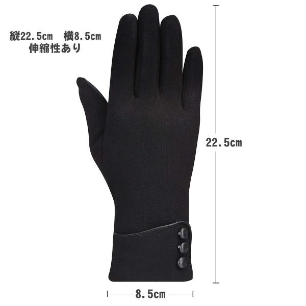レディース スマホ タッチパネル対応 防寒 手袋 グローブ 並行輸入品 裏起毛 冬 通勤 バイク アウトドア 保温 通学 自転車 ファッション