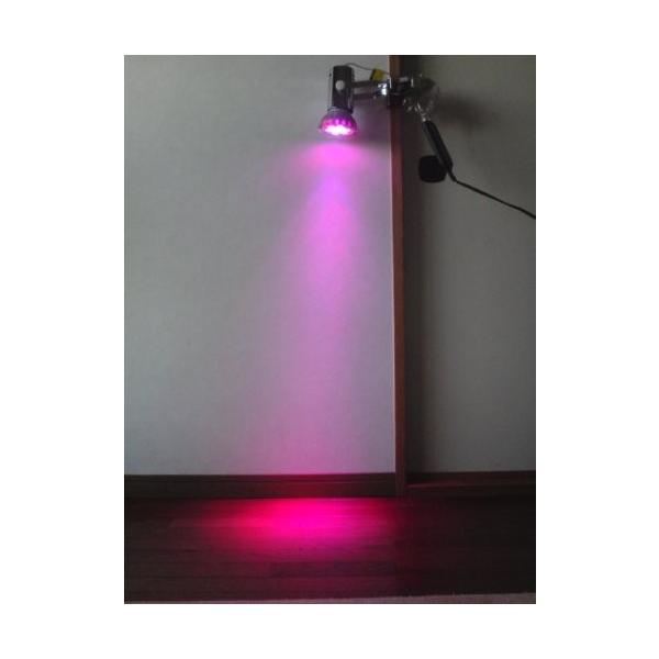 Splamp 5w 赤 青 植物育成ledライト E26 一般照明 植物育成用660nmled使用 出色 水耕栽培 小型スポットライト 室内栽培