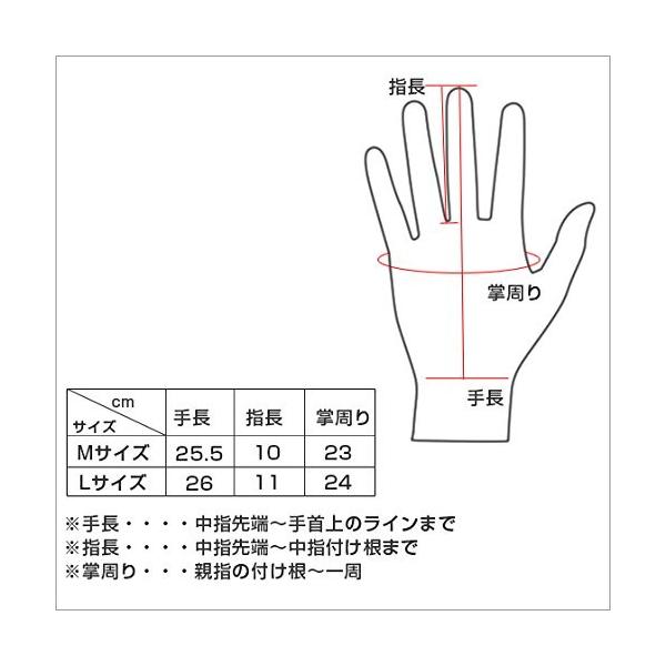 デンツ Dents 手袋 メンズ レザー グローブ 5 9018 革 Black 防寒 Mサイズ 送料0円 並行輸入品