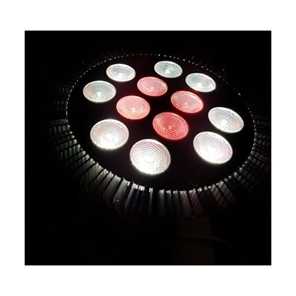 強力24ｗ観賞用植物育成ｌｅｄ スポットライト 白 赤 植物育成用660nmled使用