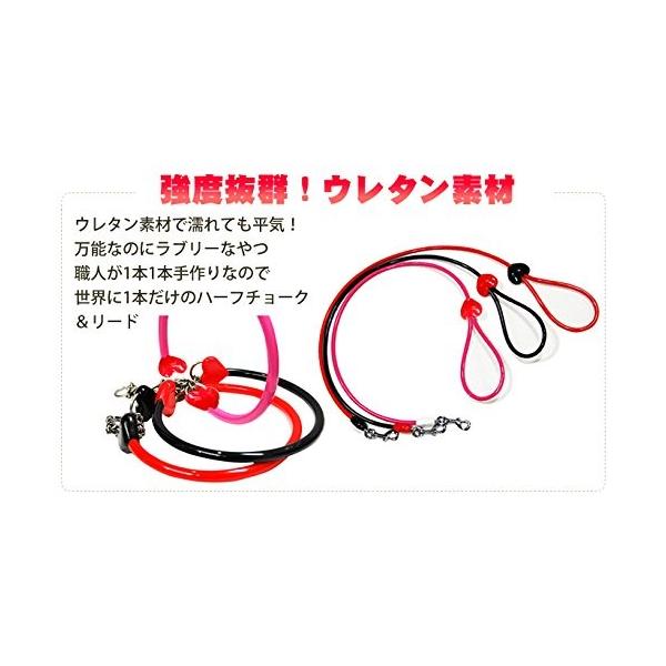 Ashu 引出物 しつけ用品ラブリーレインハーフチョーク リードセット L レッド 中 大型犬用