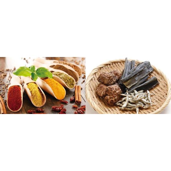 クイジナート 粉末ミルグラインダー Sg 10bkj Circlehinternational Org