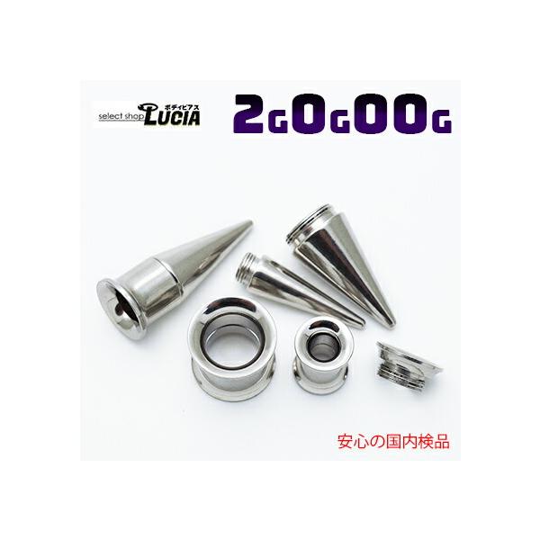 即日出荷】国内検品 ボディピアス 拡張器 ピアス セット 2G 0G 00G