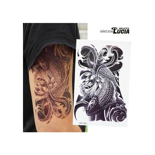 lucia6432_10001300