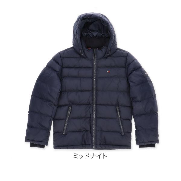 lucida-gulliver_th9-50_2_d_20260110115355