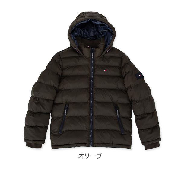 lucida-gulliver_th9-50_4_d_20260110115355