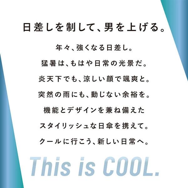 lucida-gulliver_wpc-ab_1_d_20250218140412