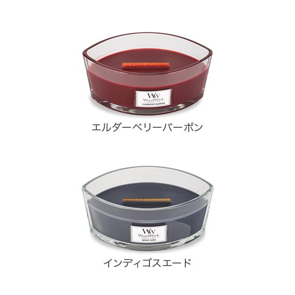 lucida-gulliver_wwk-95_2_d_20250329113758