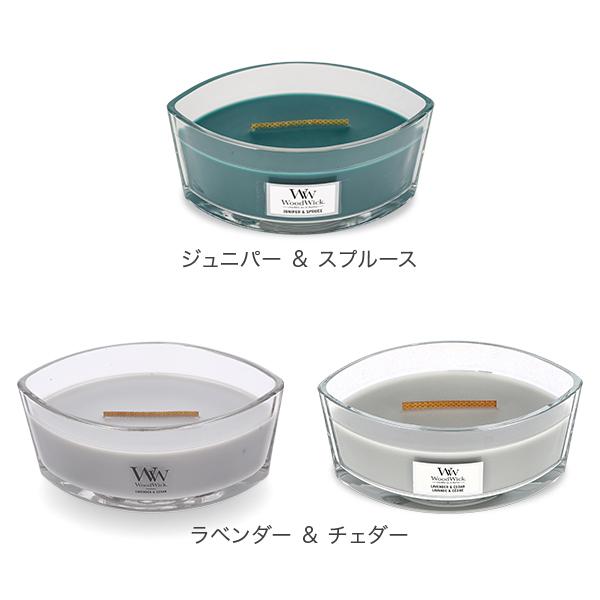 lucida-gulliver_wwk-95_3_d_20250329113758