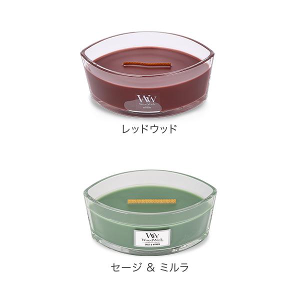 lucida-gulliver_wwk-95_5_d_20250329113758