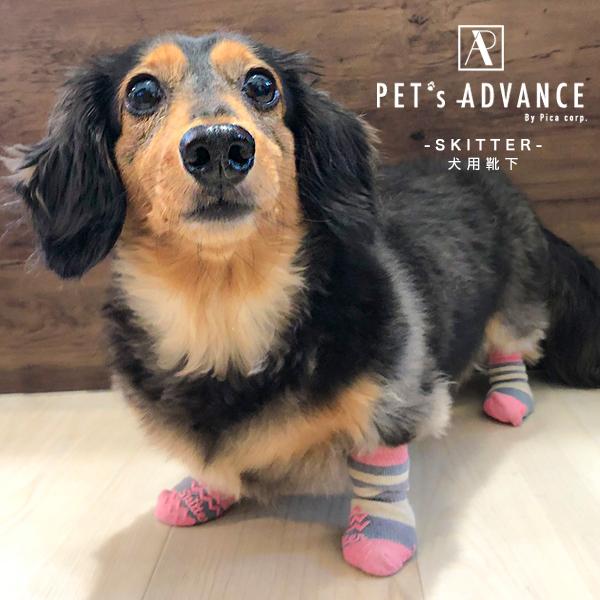 ペット服 ソックス 犬用の人気商品 通販 価格比較 価格 Com