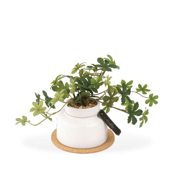 シンプルで長く愛せる人気の植物が揃うグリーンインテリア置くだけ、空気をキレイにするアーティフィシャルグリーン　 まるで本物のように繊細に作られた人工の観葉植物。水やりなどのお世話いらずでお手軽にグリーンのある暮らしが叶います。CT触媒加工を...