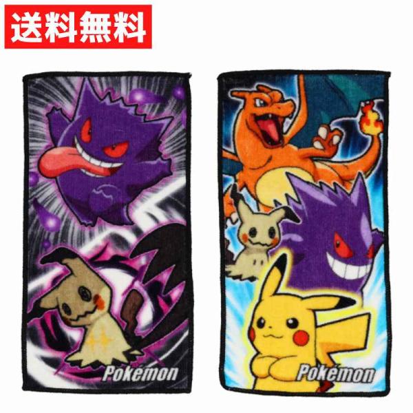 ポケモン 新作ぬいぐるみ含む12体&ハンドタオル2枚　合計14点セット Pokemon（ポケモン） ミニタオル 2枚組 2512B ピカチュウ