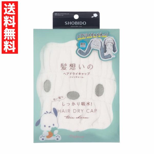 サンリオキャラクターズ 髪想いのヘアドライキャップ  ポチャッコ 限定デザイン ヘアドライ ヘアキャップ 時短 しっかり吸水