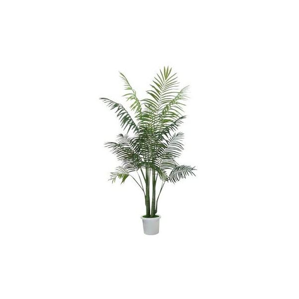 ϗtA@ԁ@fBXvC@p[c[@180@̃ANZgɍœK@qlgݗďi@