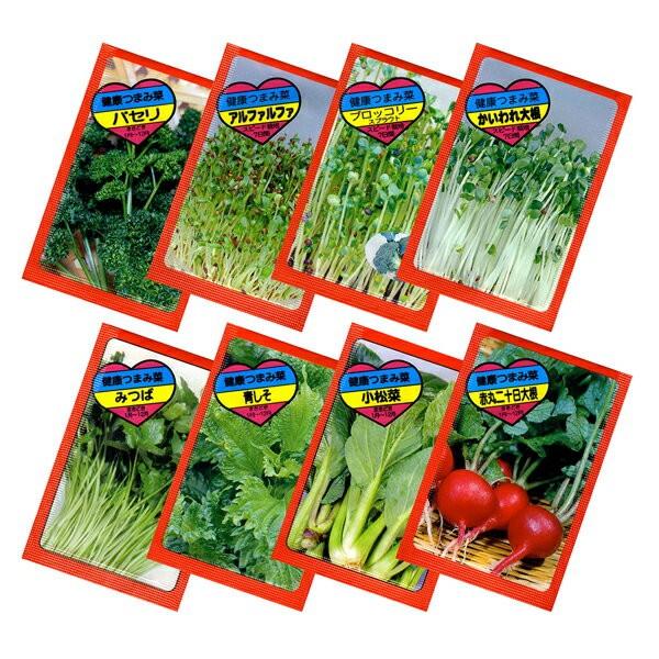 iVfUCj؂̎ iiEei@̑i  5000Zbg̔ ގws mxeB ̑i