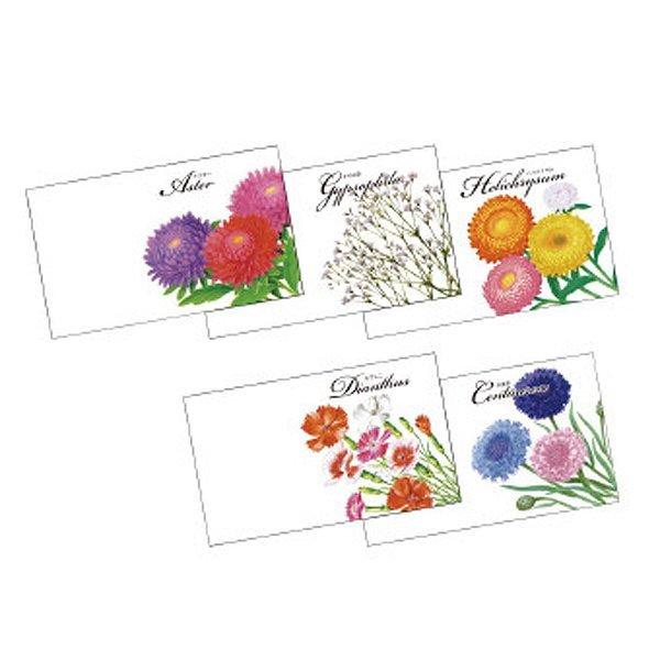 横型イラスト花の種子 笑顔の花を咲かせる 心温まるタネ 花の種100個セット販売 総付け景品 M539 21 412g6 販促品メルシー 通販 Yahoo ショッピング