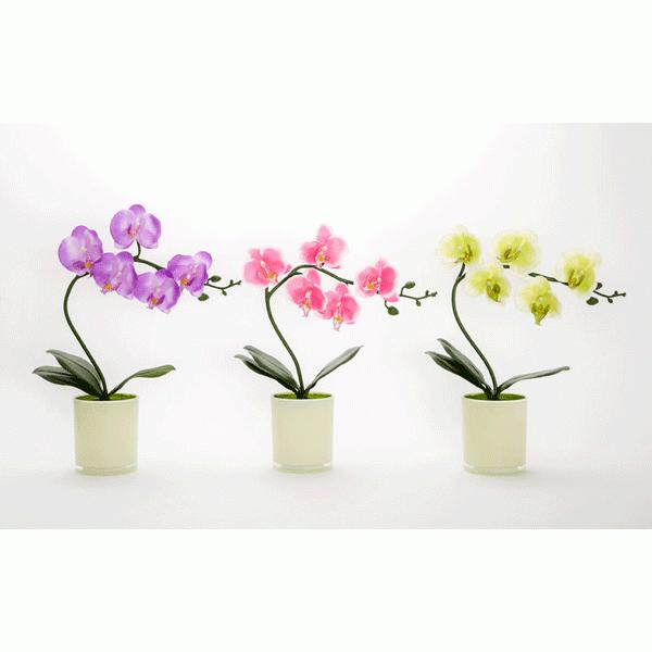 ^C}[@\tLEDCg@I[LbhOX@ӒLEDt[@J[3F