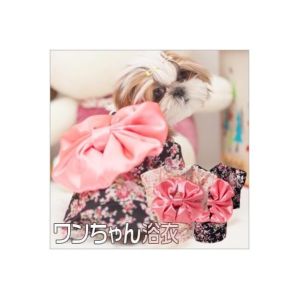 2F S~L p  ybg 䂩  Ԍ ԉ čՂ  񂿂 R {  ԕ J^ s hbNEFAylR|Xz