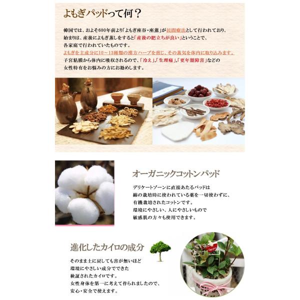 New3月再入荷済 ヤフー限定品 30p 3pおまけ 正規品 よもぎ蒸し パッド ダナミ 冷え対策 ヨモギ シート オーガニック 温活 ダイエット 温熱 パット 全国送料無料 Buyee Buyee Japanese Proxy Service Buy From Japan Bot Online