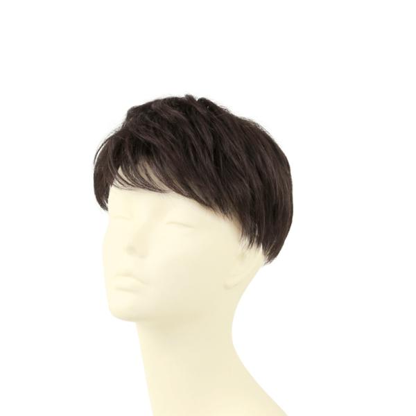 ☆ TCK/耐熱ショコラブラック プリシラ 男性用5分ウィッグ